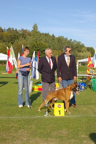 www.boxer-show.eu